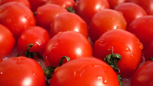 Washing of Cherry Tomatoes 3