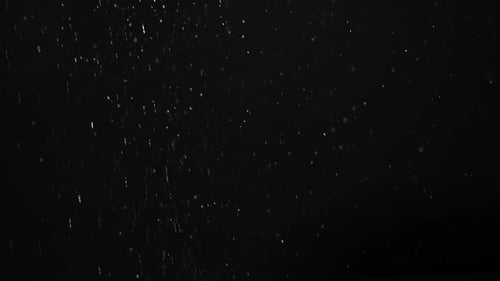 Dust Particle