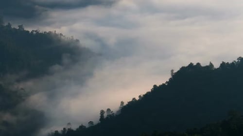 Mountain Fog Landscape