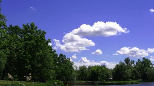 Spring Day In The Park At The Lake