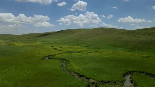 Alpine Meadows And Meanders