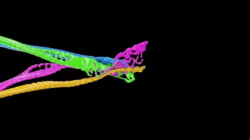 Dynamic Colorful Fluid Splashes and Mixing Animation