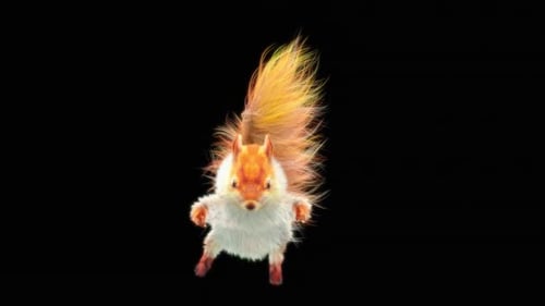 Stylized Animated Squirrel Loop With Transparent Background