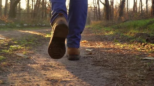 Low View of Male Legs in Boots Walking Along a Path in the Forest