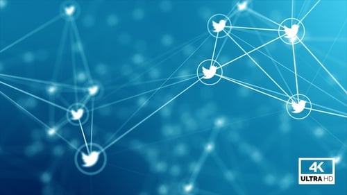 Datennetzwerke Twitter Plexus Hintergrund Looped