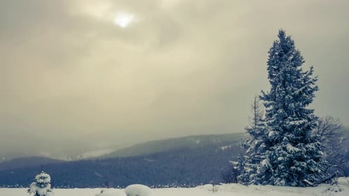 A Strong Winter Snowstorm