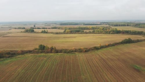 Aerial View Autumn Empty Field With Windbreaks Landscape