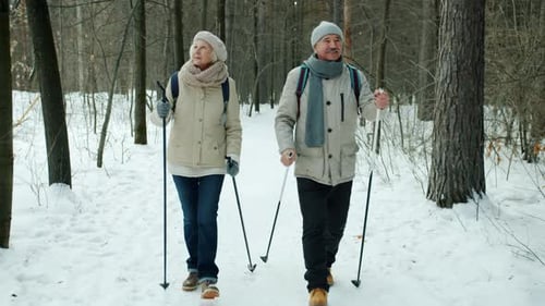 Couple Senior Man and Woman Walking with Ski Poles and Looking Around Enjoying Nature in Forest