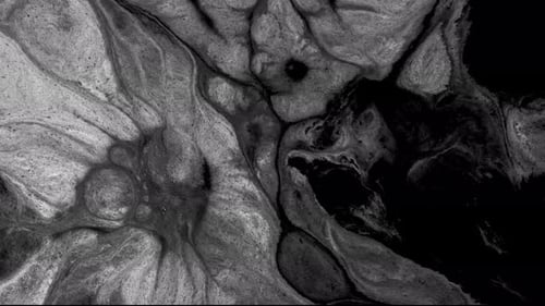 Abstract Black and White Ink Mixing