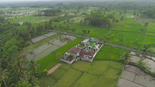 Mosque Among Rice Fields Java Indonesia