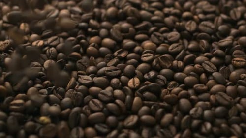 Falling Roasted Coffee Beans Close Up Shot