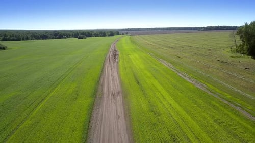 Landscape with Ground Road Between Mown Field and Trees