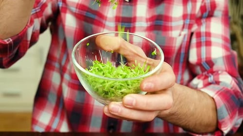 Des micropousses dans les mains d'un homme