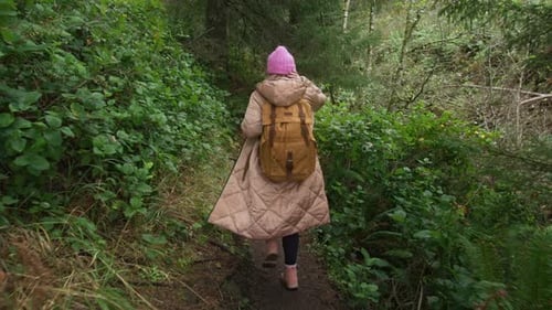 Traveler Woman Walking By Nature Trail Eco and Biotourism Concept Slow Motion