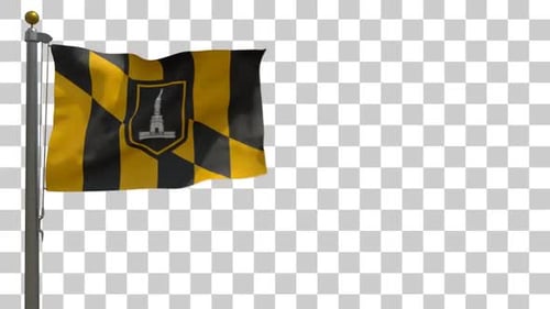 Realistic Waving Flag with Emblem on Metal Pole