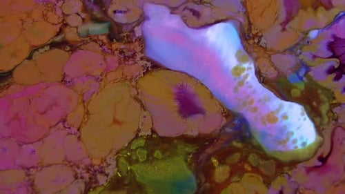 Swirling Abstract Colors and Organic Forms