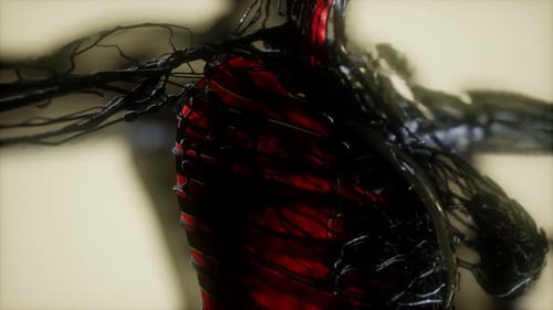 Abstract Anatomical 3D Render of Human Torso and Veins