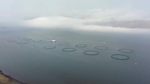 Salmon Fish Farm. Aquaculture in Iceland. Aerial View