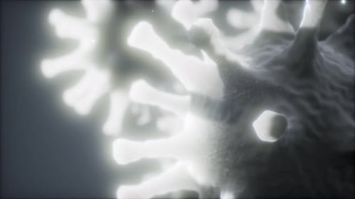 Glowing 3D Microbe Animation for Science and Medical Projects