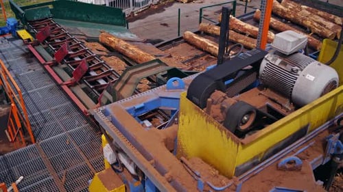 Sawmill. Process of removing bark from logs. Special machinery with conveyor.