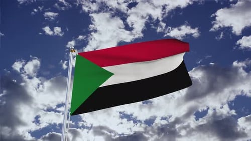 Realistic National Flag Waving Animation with Blue Sky Background