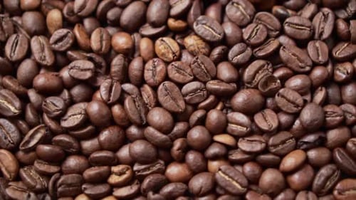 Dark Roasted Coffee Beans Move in a Circle. Close Up.
