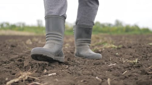 Farmer Goes with Rubber Boots Along Plowed Field