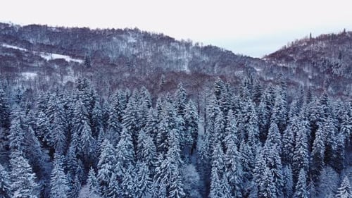 Winter Landscape Aerial view