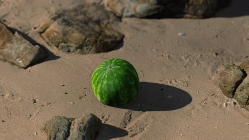 Big and Juicy Watermelon on the Beach Sand
