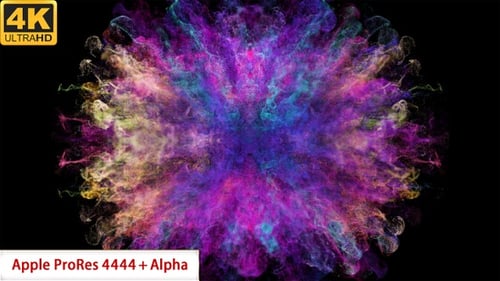 Vibrant Color Powder Explosion Reveal