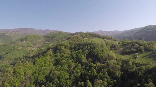 Aerial Mountain Forest