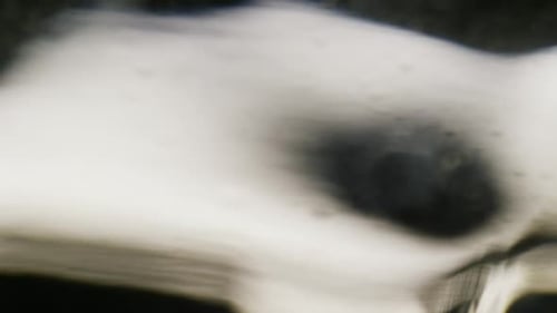 Cinematic Abstract Motion Background (No CGI used) 1147