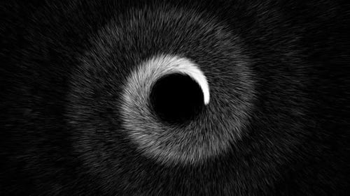 Fond de mouvement de particules spirales noir et blanc