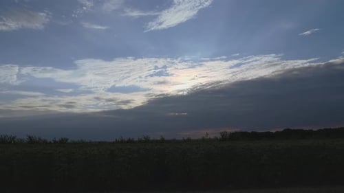 Leichte Wolken bei Sonnenuntergang laufen schnell über ein Feld mit gelben Sonnenblumenblüten