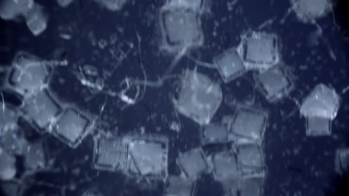 crystallized surface is taken under a microscope