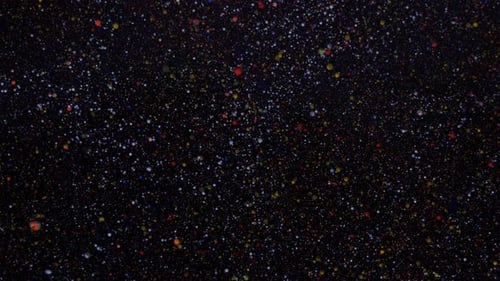 Sequins on a Black Background