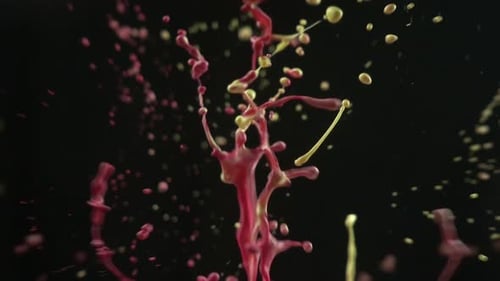 Red and Yellow Paint Explosion Against Black Backdrop