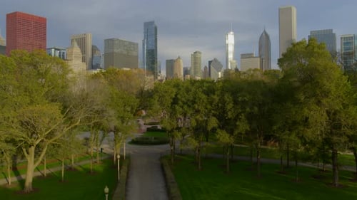 Aerial of green trees in park overlooking Chicago skyline