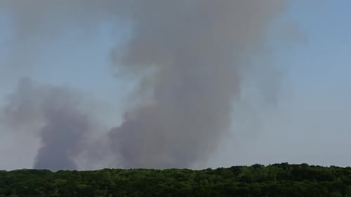 The Fire Over the Wood