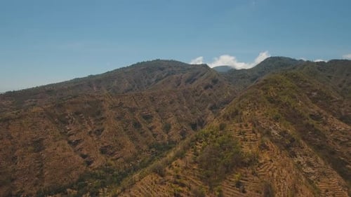 View of Mountain Forest Landscape