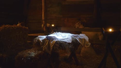 Manger for Son of God in Stable