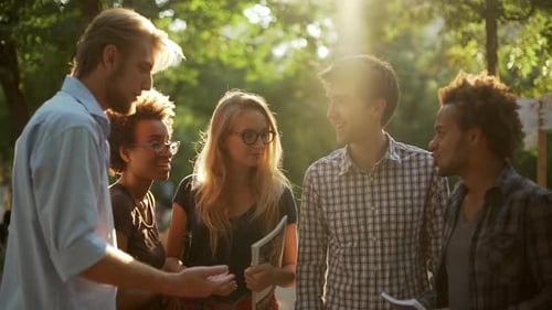 Kaukasische und afroamerikanische weibliche und männliche Freunde unterhalten sich lächelnd im Park und zeigen Ok mit