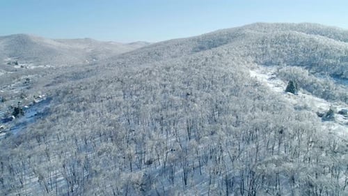 Aerial View of a Frozen Forest with Snow Covered Trees at Winter