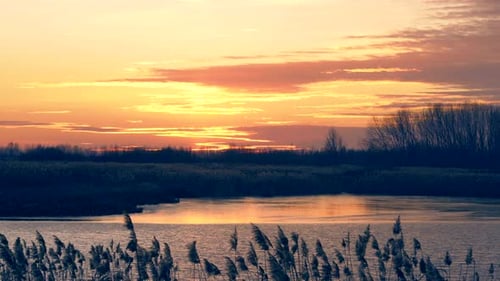 Sunset over the lake and forest, 4K video.
