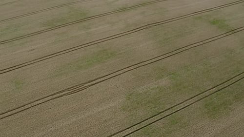 Flying Over The Field Background