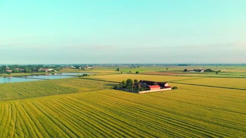 Aerial: flying over rice paddies, flooded cultivated fields farmland rural italian countryside