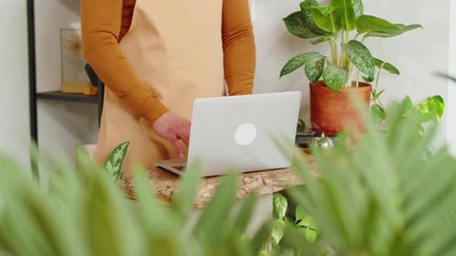 Florist Cashier Working in Flower Shop