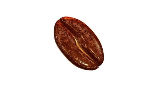Hermosa rotación de granos de café sobre fondo blanco.