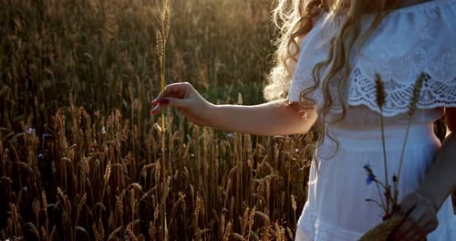 A Woman Holds a Spikelet of Wheat and Lifts It To Her Face on a Wheat Field at Incredible Colorful