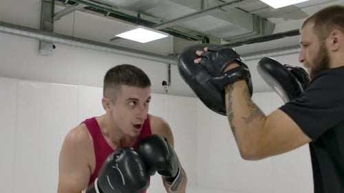 At a Boxing Training Session in the White Room a Man Beats His Gloved Hands on the Coach's Paws